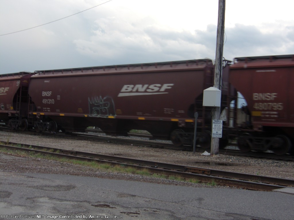 BNSF 491310